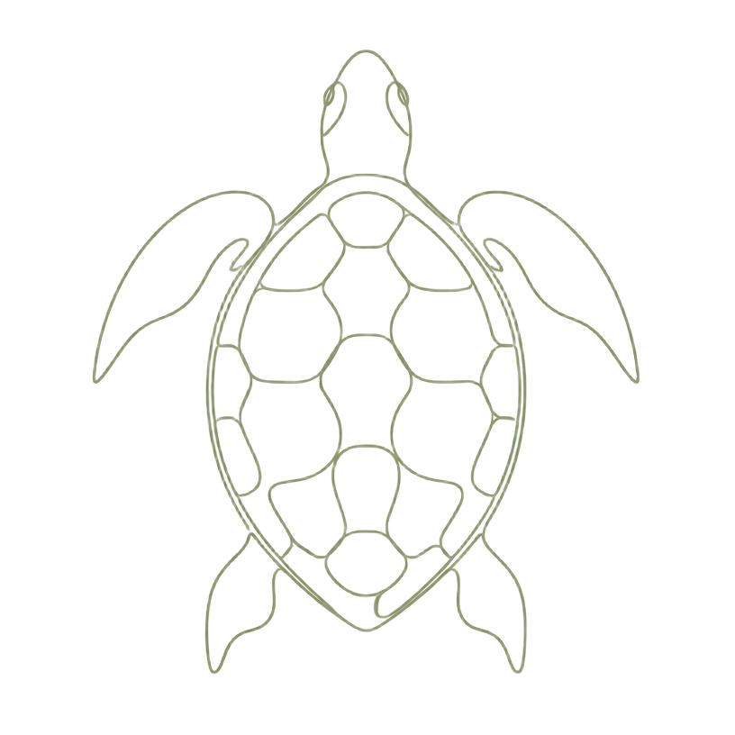 Turtle emblem, symbol of longevity and calm